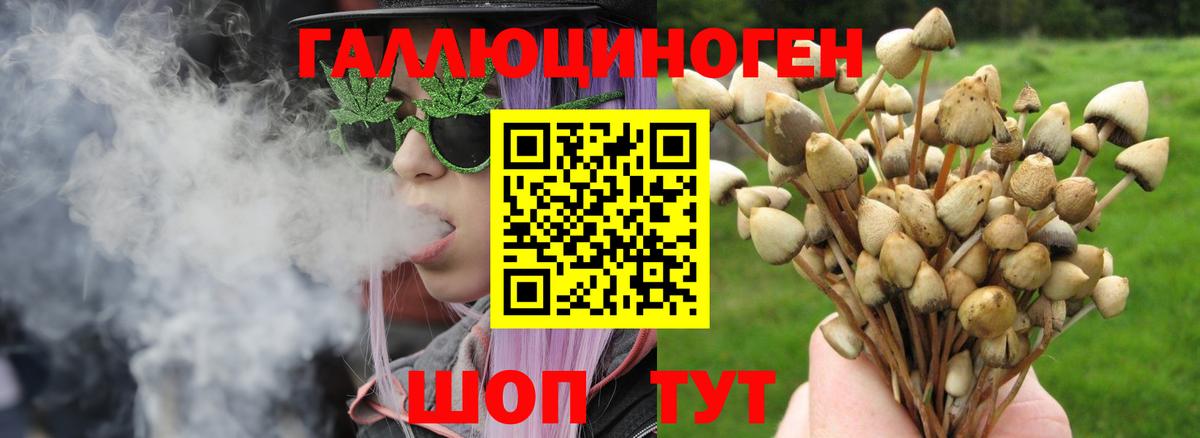 Галлюциногенные грибы мицелий Армавир